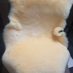 Ivory Short Wool Sheepskin School Chair Cover as used by Steiner Schools With Elastic straps to attach to a chair back