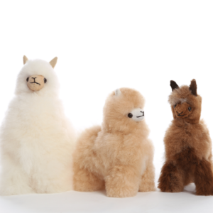 Alpaca Collectables, to delight both children and adults