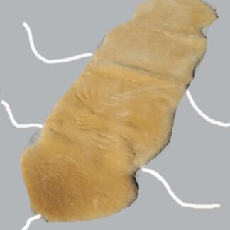 Double CSIRO Approved Jumbo AS4480.1-1998 Medical Sheepskin High Temp Washable 200cm long